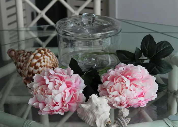 Ξενοδοχείο Pinocchio 3*