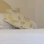 Отель Pinocchio Каттолика