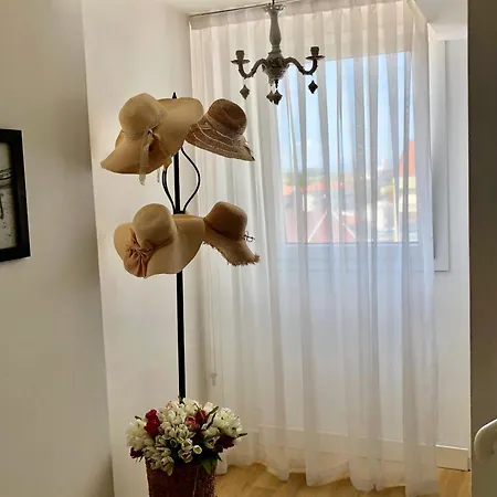 Pinocchio カットーリカ