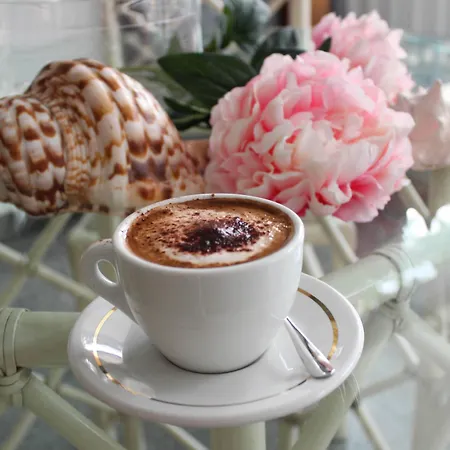 Pinocchio 3* Cattolica